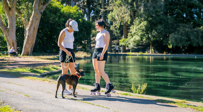 a2c8e8dcd3235d9eb75da9eaa39b344